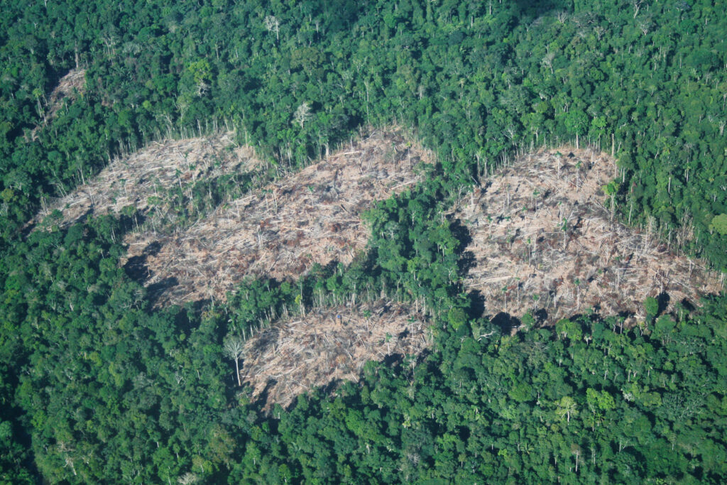 Peru to Consider New Reserve for Uncontacted Indigenous People