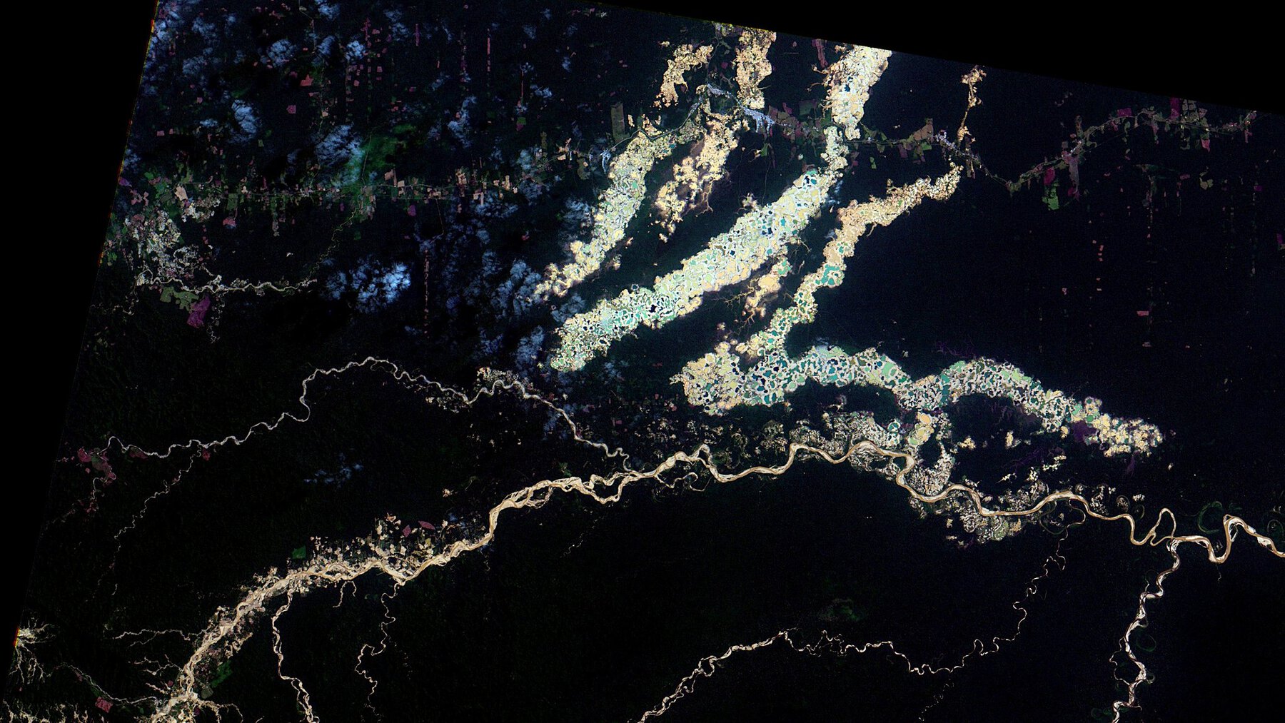 The Amazon&rsquo;s Invisible Crisis: How Environmental Crime Is Reshaping Humanitarian Emergencies